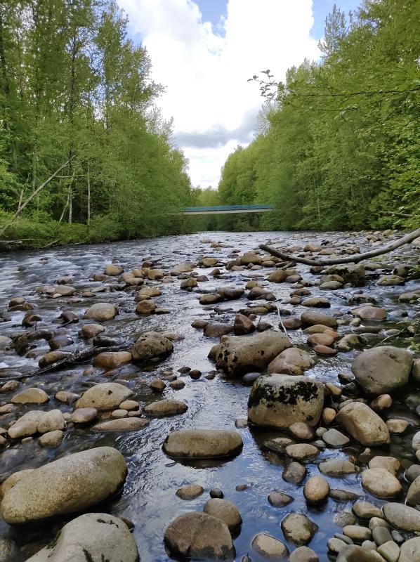 Traboulay Poco Trail