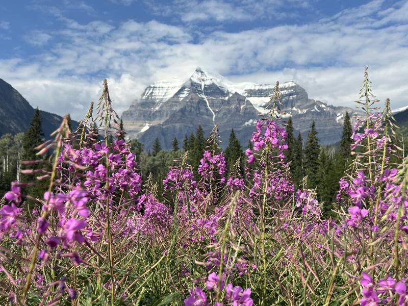 Berg Lake Trail