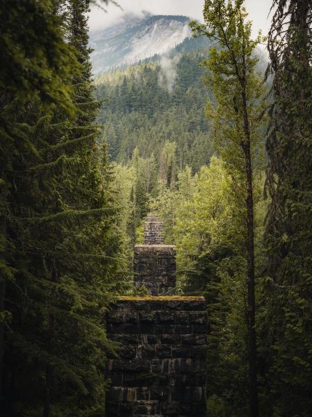 Loop Brook Trail