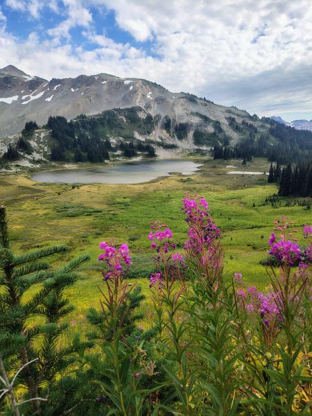 Panorama Ridge