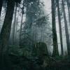 Mount Fromme