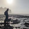 Juan de Fuca Trail