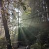 Botanical Beach Loop Trail
