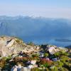 Golden ears