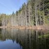 Whyte Lake