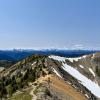 Heather Trail