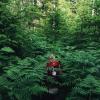 The Sunshine Coast Trail