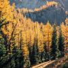 Frosty Mountain Trail
