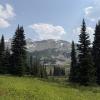 Panorama Ridge