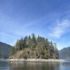 Jug Island