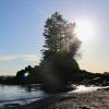 Botanical Beach Loop Trail