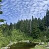 Mount Seymour trail