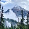Berg Lake Trail