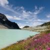 Wedgemount Lake and Tupper Lake