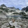 Tricouni Berg Lake