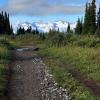 Black Tusk Meadows