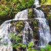 Steelhead Falls