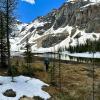 Wonder Pass