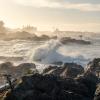 Wild Pacific Trail