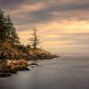 Shore Point