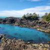 Lighthouse loop: wild pacific trail