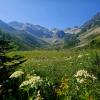 Brandywine Meadows Trail