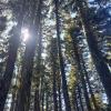 Mount Thurston via Elk Mountain