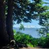 Mount Thurston via Elk Mountain