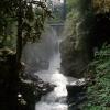 Mamquam Falls Trail