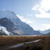 Berg Lake Trail