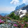 Golden ears summit trail