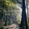 Mundy Park
