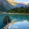 Berg lake trail