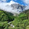 Floe lake