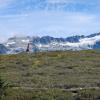 Garibaldi Provincial Park
