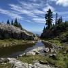 Mount Seymour Trail