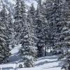 Iago Peak