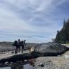 West coast trail