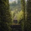 Loop Brook Trail