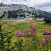 Panorama Ridge