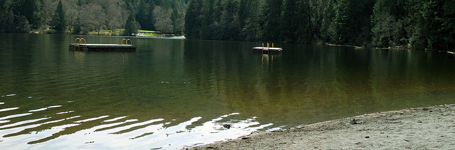 The beach at Alice Lake
