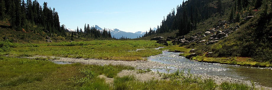 Brandywine Meadows near Whistler, BC