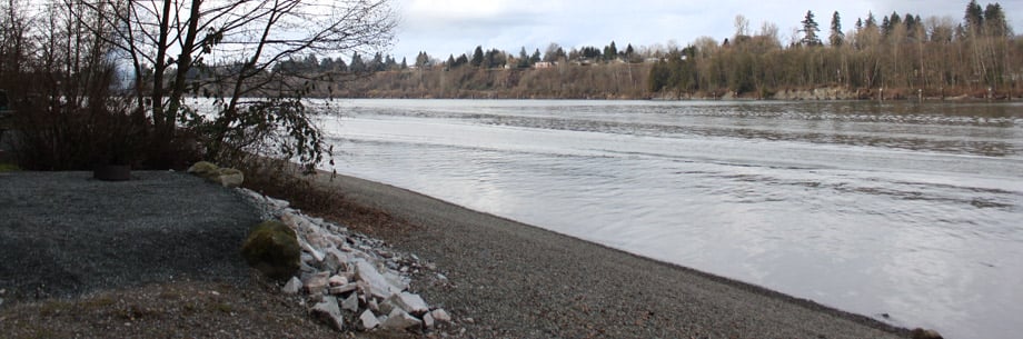 A campsite along the Fraser River in Derby Reach