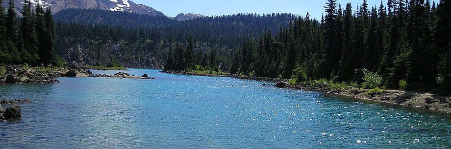 The Garibaldi Lake campsite area