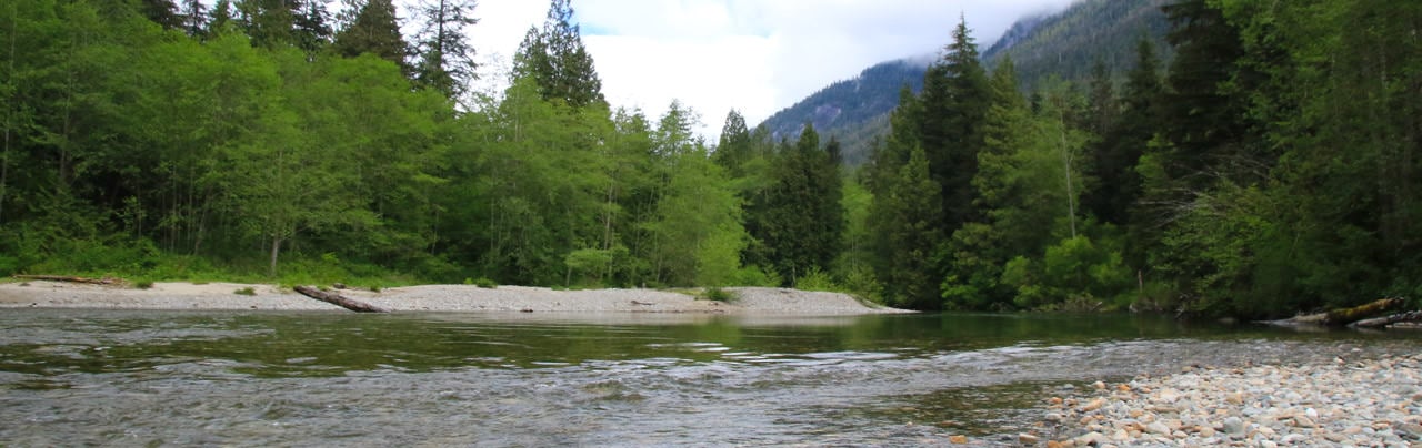 Back-country campsite in Golden Ears Provincial Park