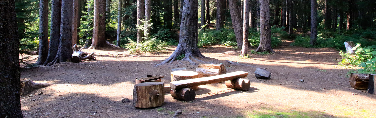 The Strike Lake Campsite in Manning Park
