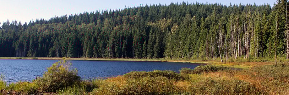 Mike Lake in Golden Ears