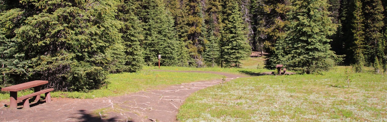 The Buckhorn Campsite along the Heather Trail