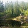 Hollyburn Mountain photo