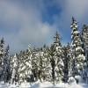 Dog Mountain photo